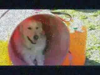 Les débutants et les tunnels