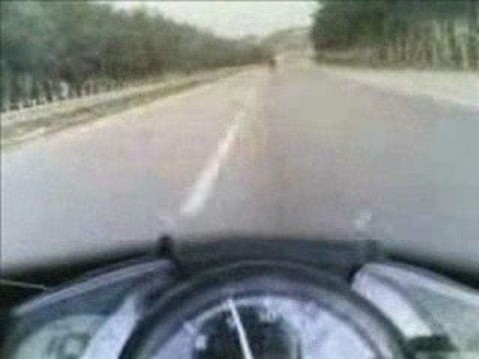 299_section r1