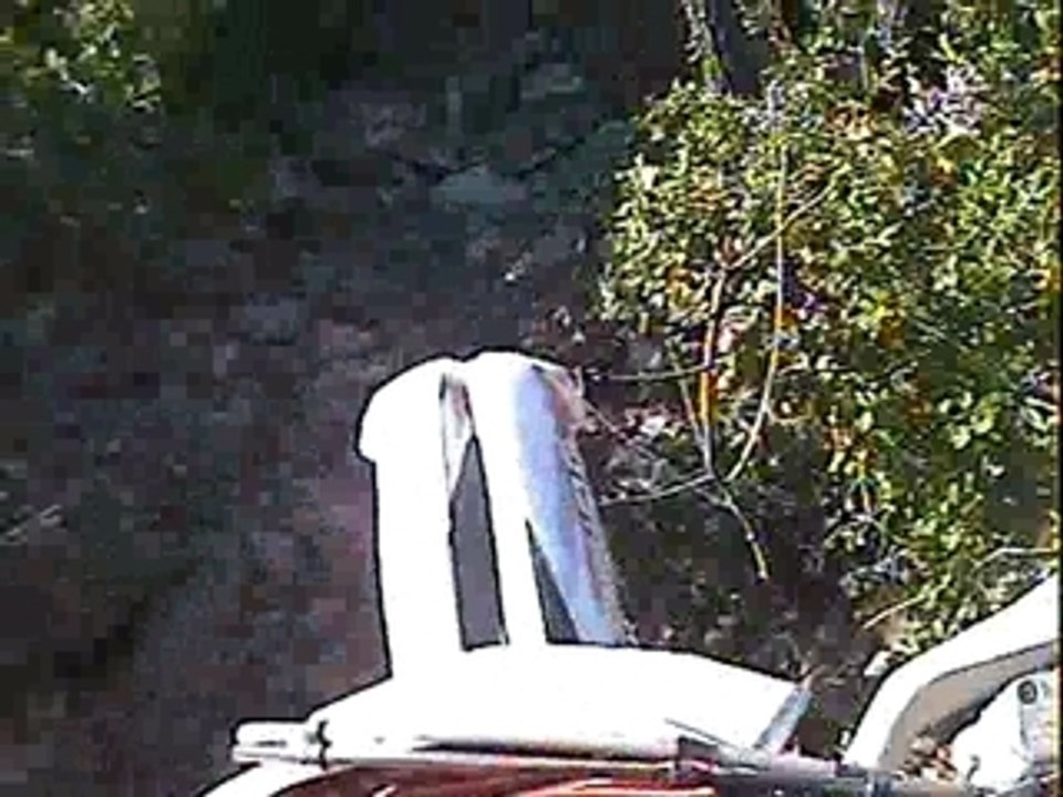 Alousde21.03.09 (12)flomonteeduchat