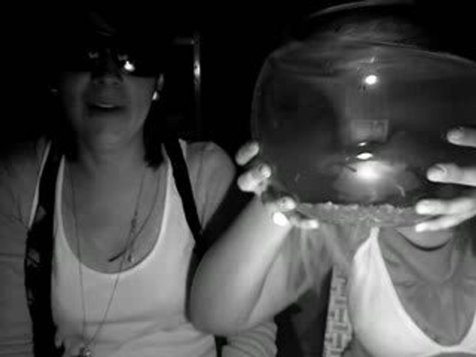 Brad mon poisson :)