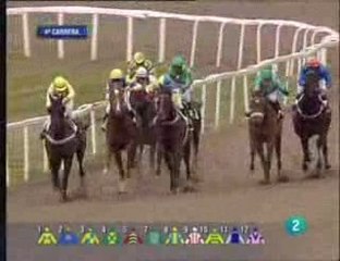 2009 (65) Premio Gapton-Bob (H) (BORKEN)