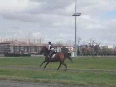 La cépière - Liane saut de haie