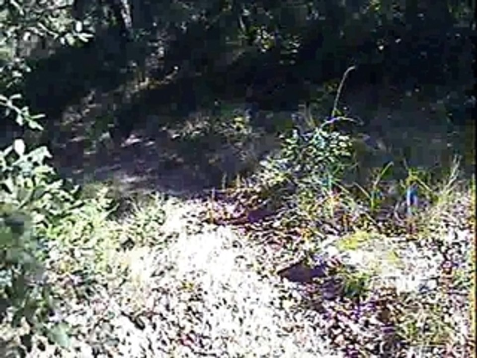 Alousde21.03.09 (9)descenteyohan