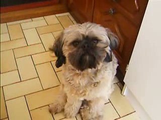 Chanel lance une nouvelle campagne gourmande 🍽️