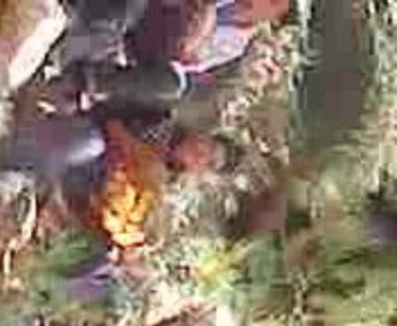 ait ammar dozl3333 dima dandisnt