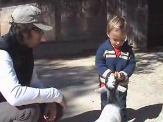 Avec les chèvres - 1er gâteau!