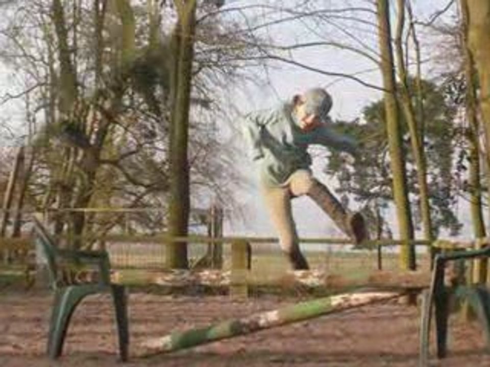 Des Zumelles Et Des Poneys !!