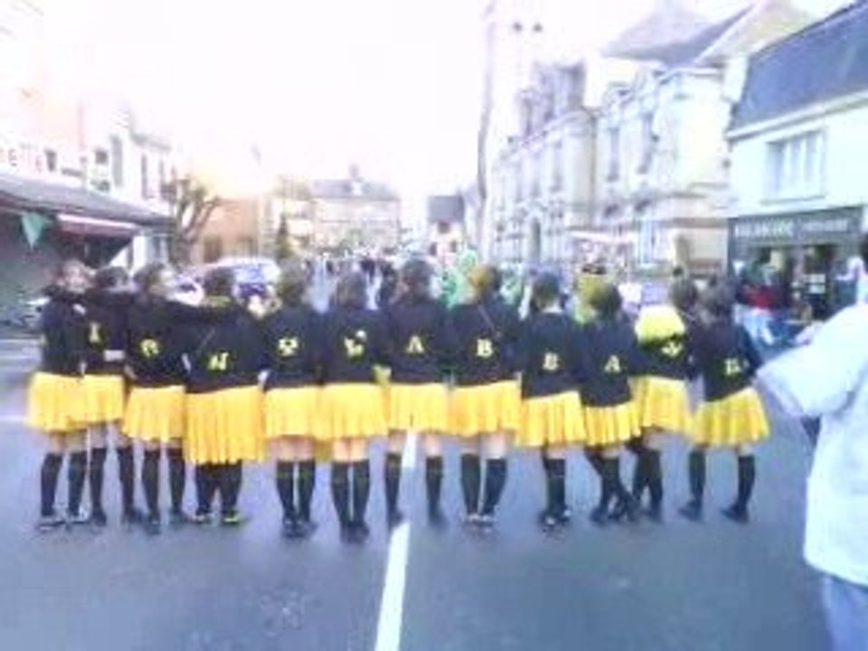 pompoms girls !   (lll)