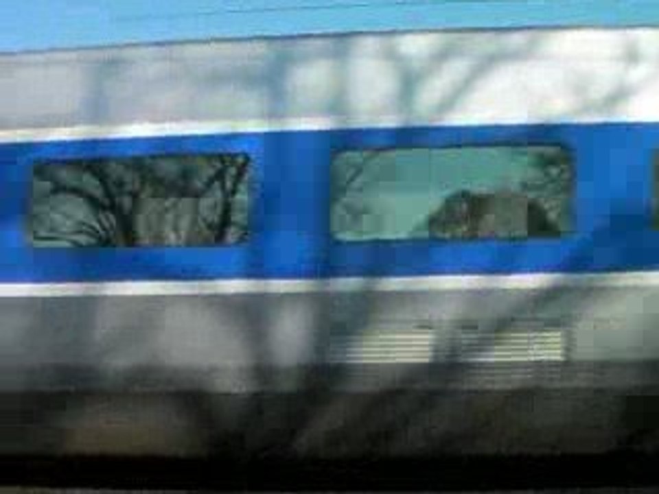 TGV