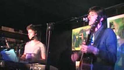 What About Penguins Life Animals