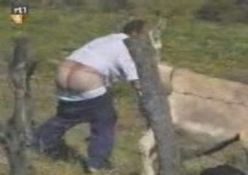 Mucho calor !!!