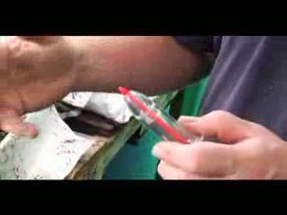 SK Foods video #8 presents how to grow tomato seedlings.