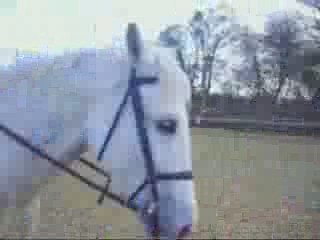 Reprise de saut avec roméo