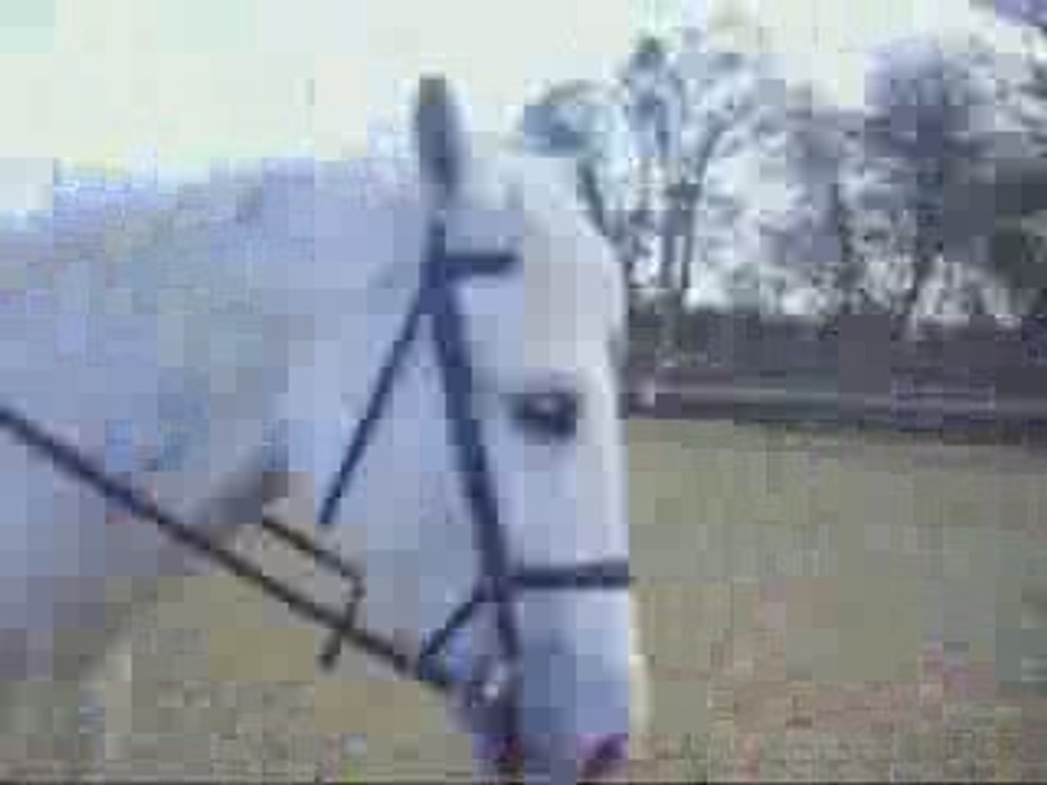 Reprise de saut avec roméo