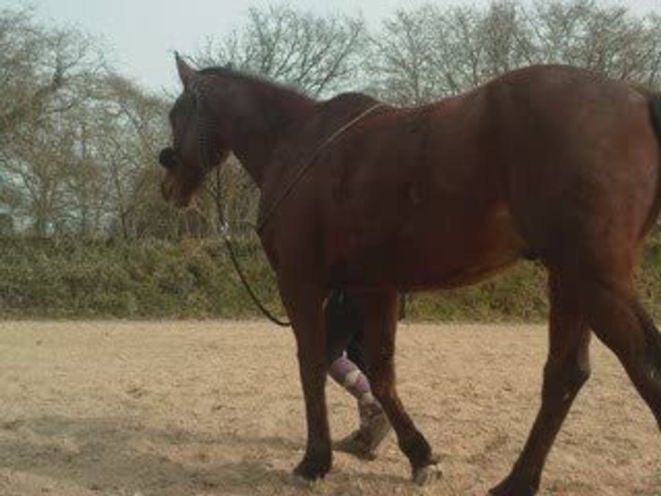 Dimanche 22 Mars_0001