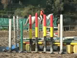 Galoppo al circolo Ippico di Pompeiana