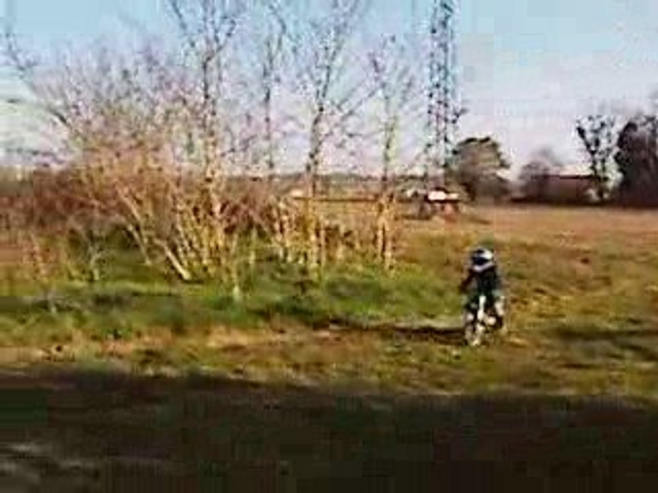 43630019
