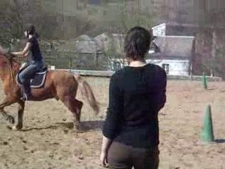 pony games jeu ou tou le monde se fouare