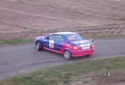 Rallye des Vignes de Régnié 2009