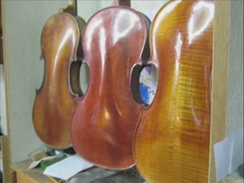 Violon