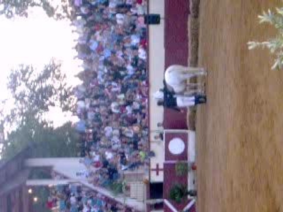 Pestacle des chevaux 2