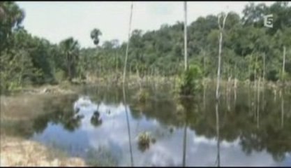 Planète terre (2/3) à l'assaut des terres