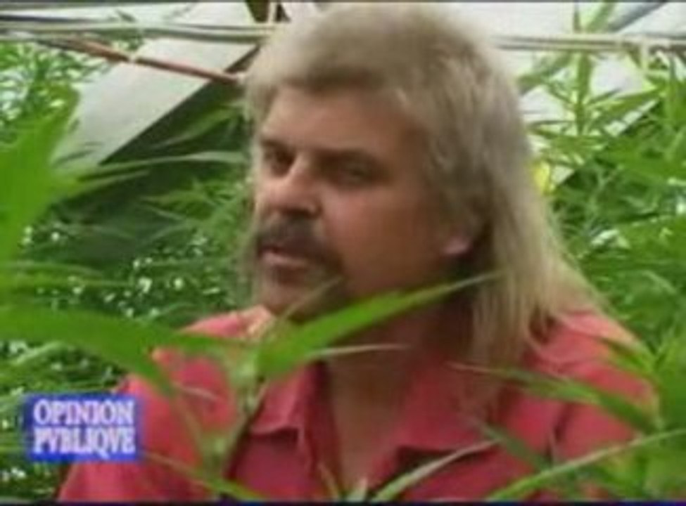 Opinion publique  Cannabis 1ère partie