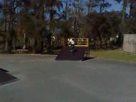 session pour le gos avec un sw shovit et un fakie heel back