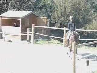 Dressage le 22 Mars 2009