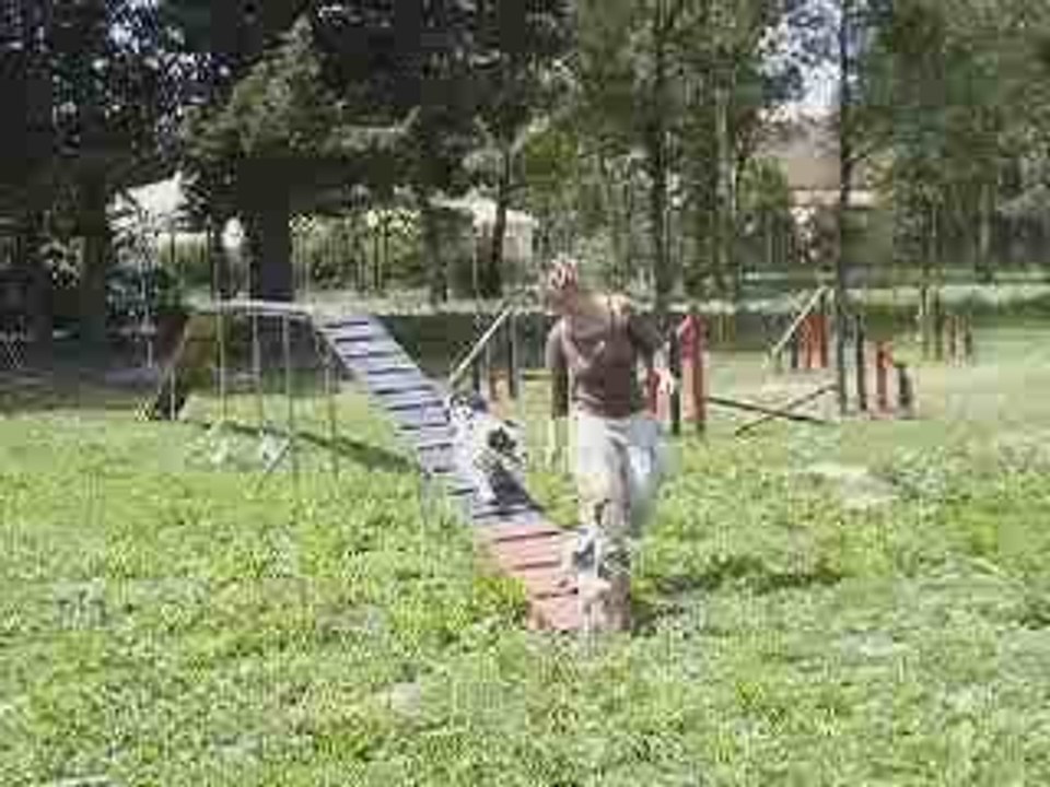 Sunnyagility3