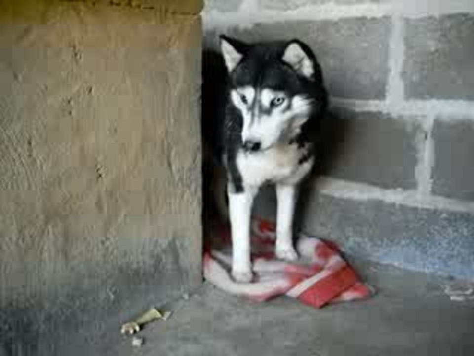 Winnie qui fait des progrès !