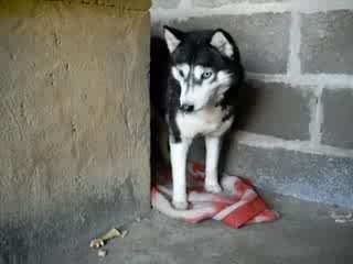 Winnie qui fait des progrès !