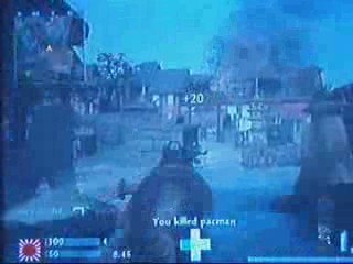 cod waw wii multiplayer "mp40"