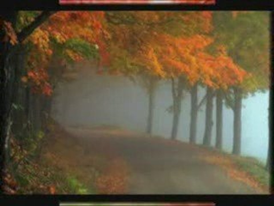 Die Liebe kann so schön sein aber auch nicht