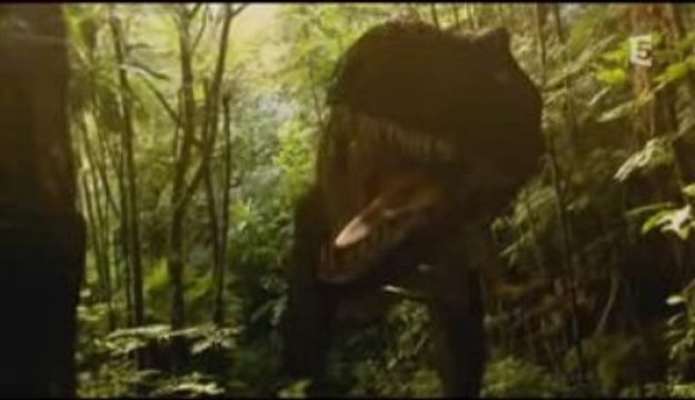 Planète terre (1/3) évoluer pour survivre