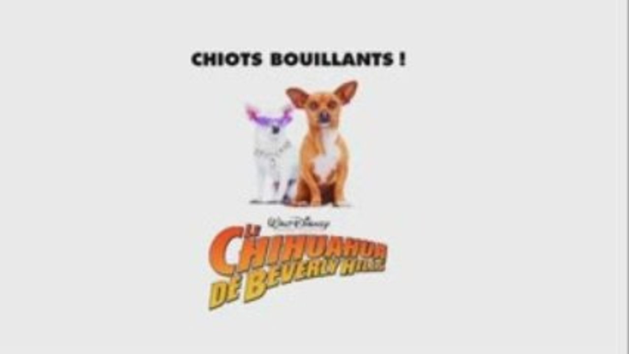 Le Chihuahua de Beverly Hills: avant première Champs Elysées
