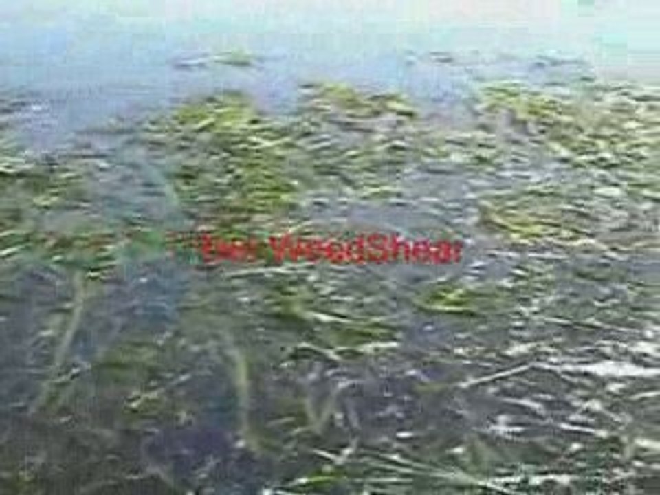 Weedshears lake weeed  cutter