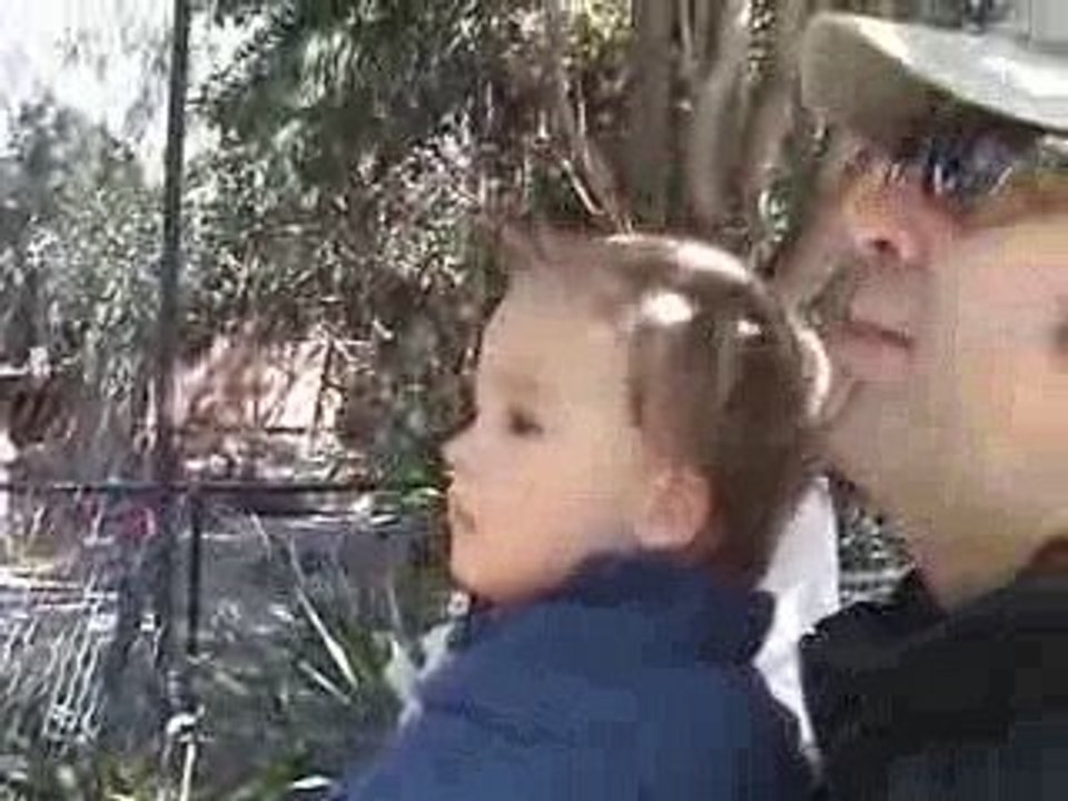 En admiration devant les singes!