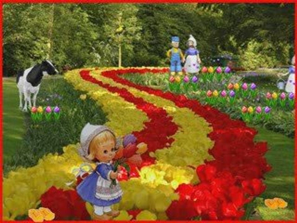 JARDIM DA CELESTE, GIROFLÉ, GIROFLÁ