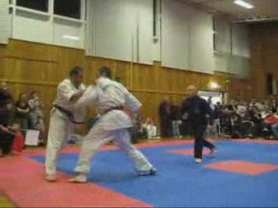 Ashihara Fighters
