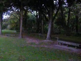 wellington, palmerston north, playground1