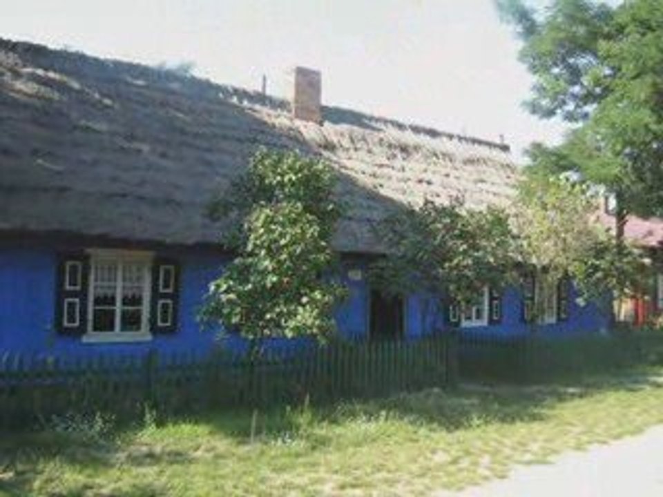 Cyraneczka -Mazowsze