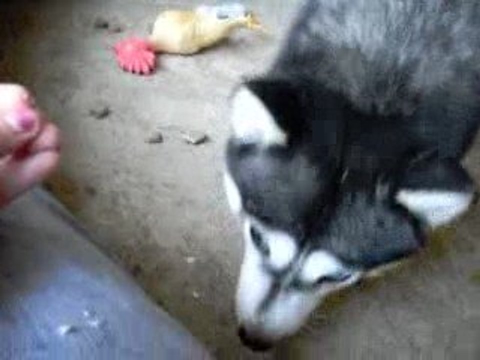 Winnie qui fait des progrès !