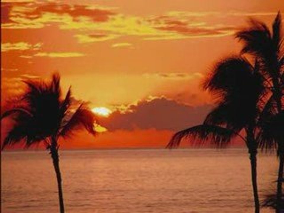 Rainhard Fendrich - Löwin Und Lamm (Live Audio)