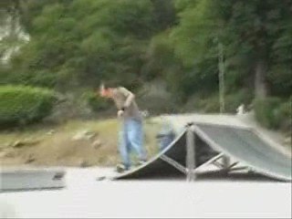 Damien Pellegrini - skateboardingue 2005-2006