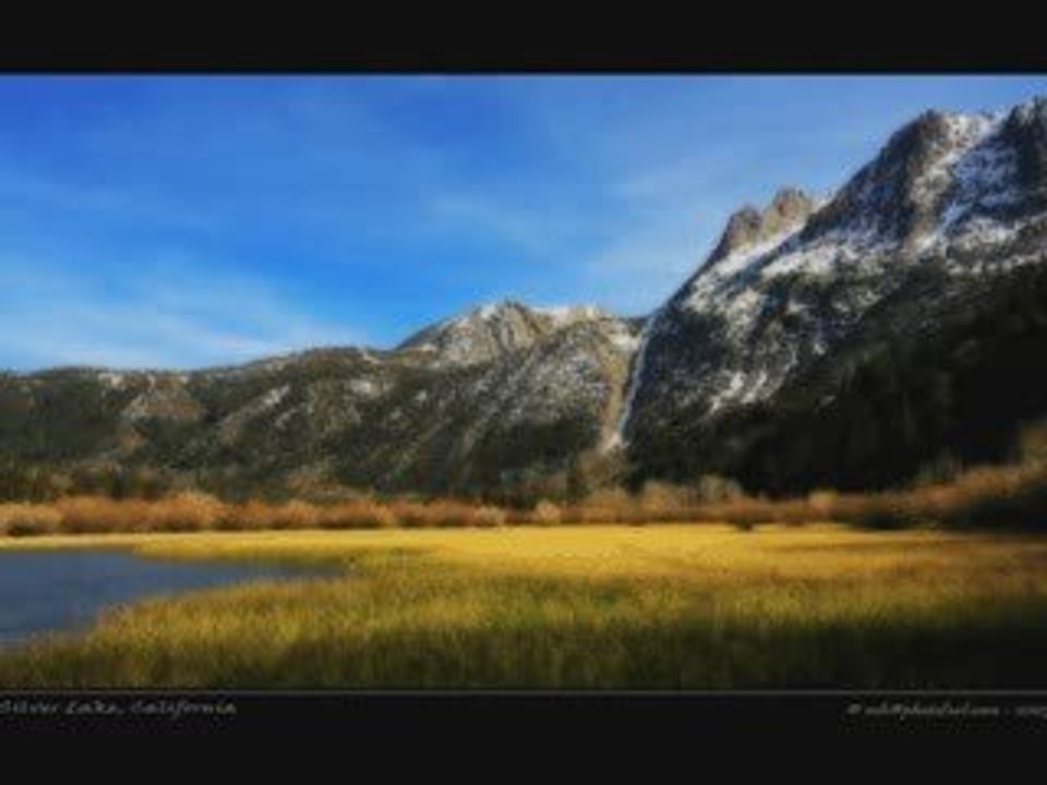 LUMINITA SOARE: "CAMPURI DE AUR" (FIELDS OF GOLD")