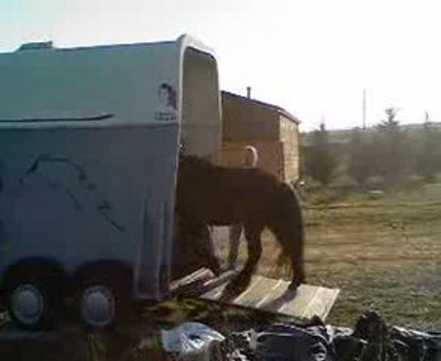 Van au trot