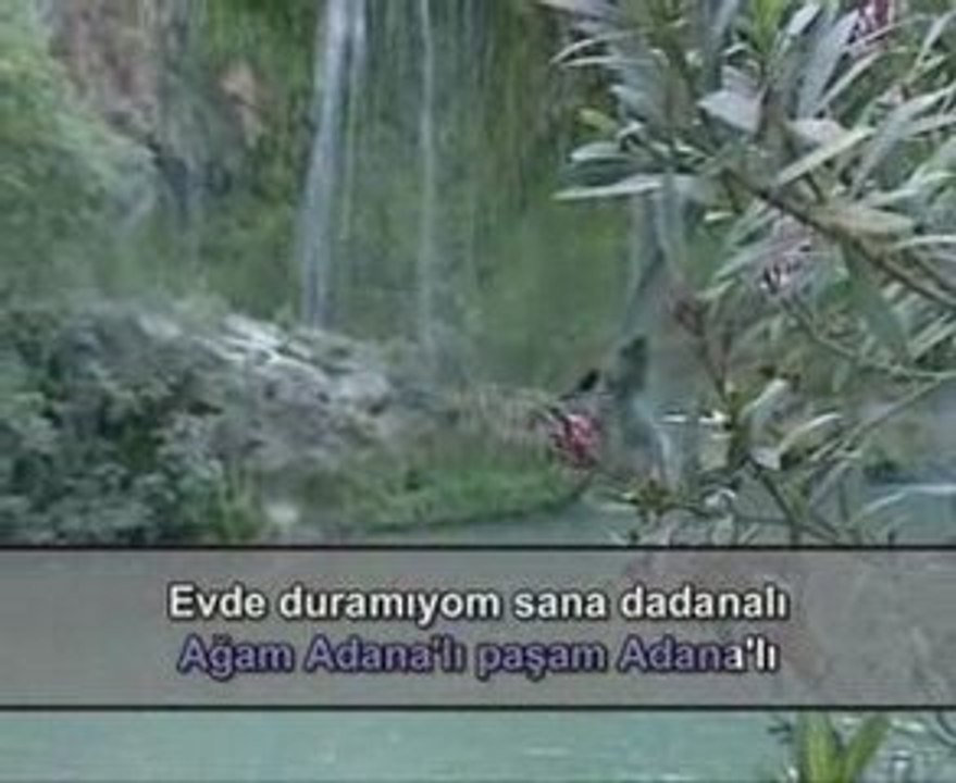 Kara Turc 14 DIVX