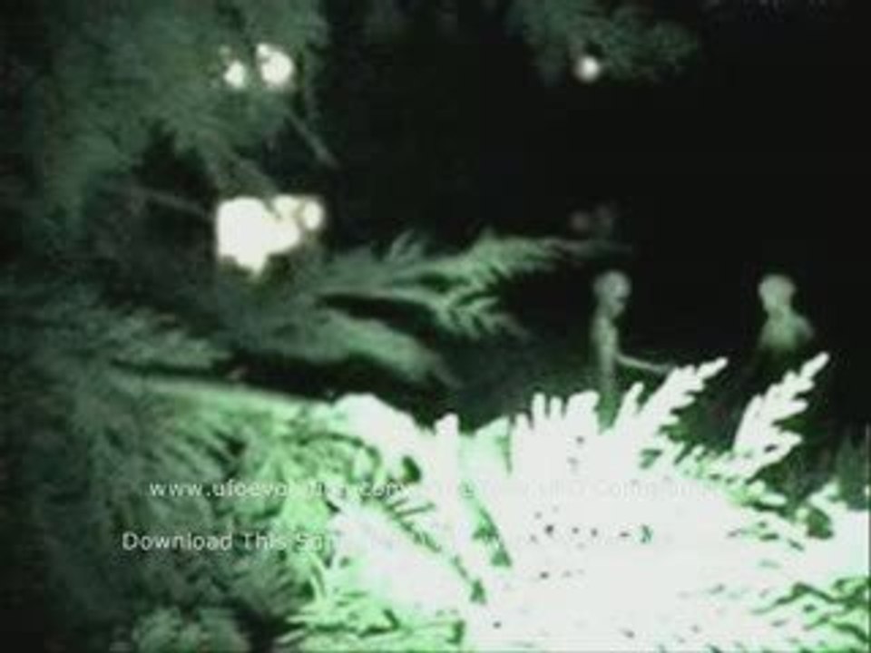 UFOs Video & Picture Collection