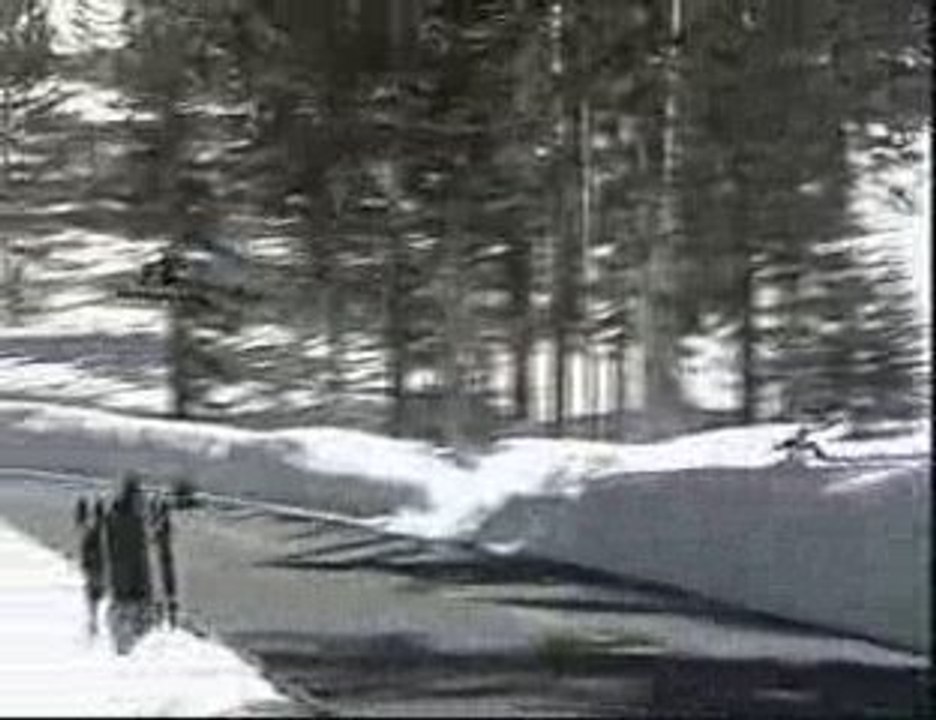 aller saute saute